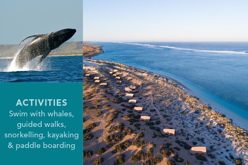 Sal Salis, Ningaloo Reef, WA Sal Salis, Ningaloo Reef, WA