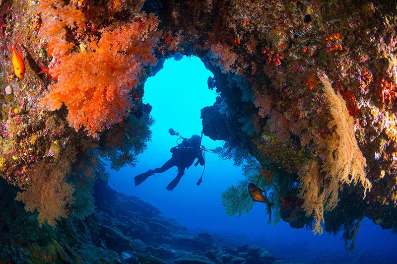 Diving on Christmas Island (image courtesy of Gary Bell)