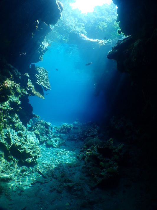 Diving Papua New Guinea