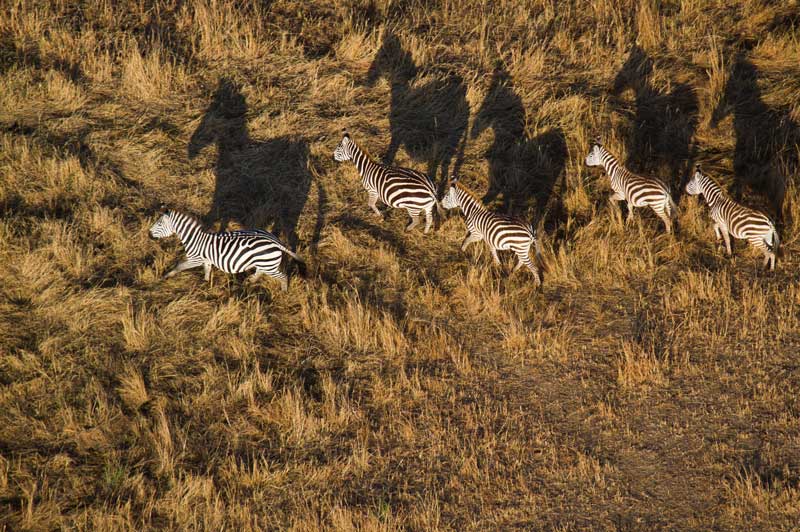 Air Safari over Masai Mara National Reserve