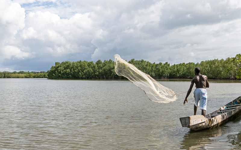 Gambia River