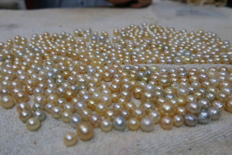 Gold Pearls Papua New Guinea