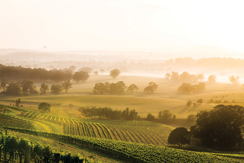 Hunter Valley, site of yearly wine festival