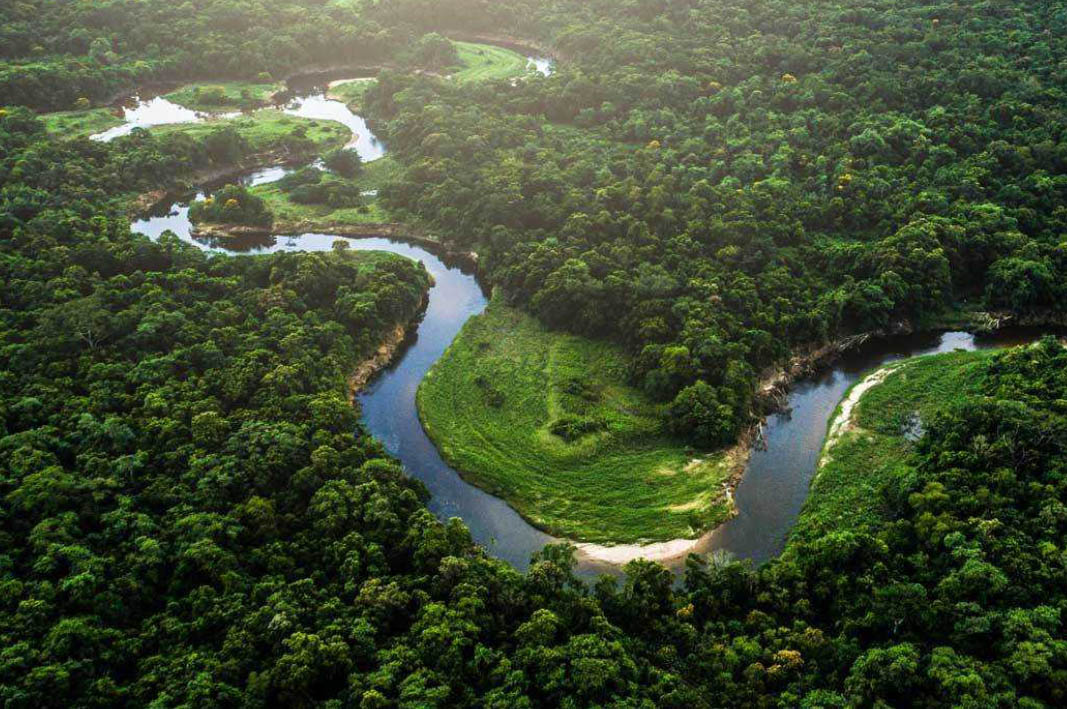 The Amazon