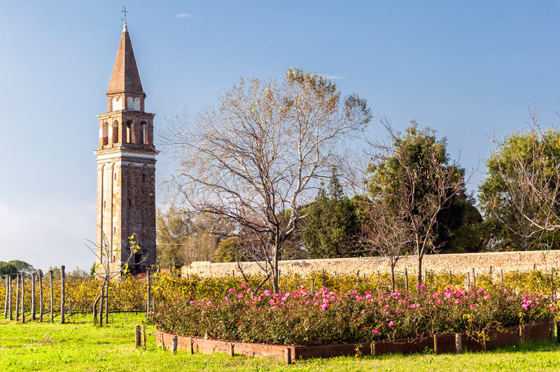 Explore the quaint Venetian island of Mazzorbo Explore the quaint Venetian island of Mazzorbo