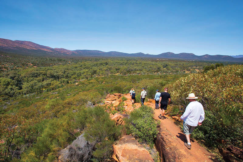 Arkaba Walk, South Australia