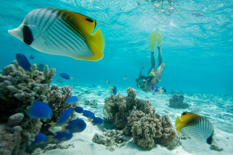 Snorkelling Cook Islands