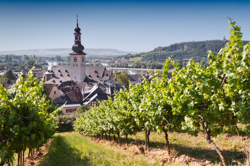 Enjoy a few glasses of wine in the nearby vineyards while learning about the ice wine process.