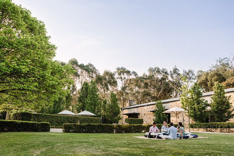 Golding Wines, Adelaide Hills Wine Region Golding Wines, Adelaide Hills Wine Region