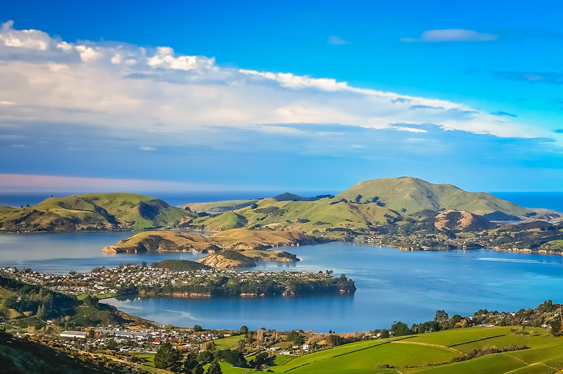 Wine Wildlife Dunedin