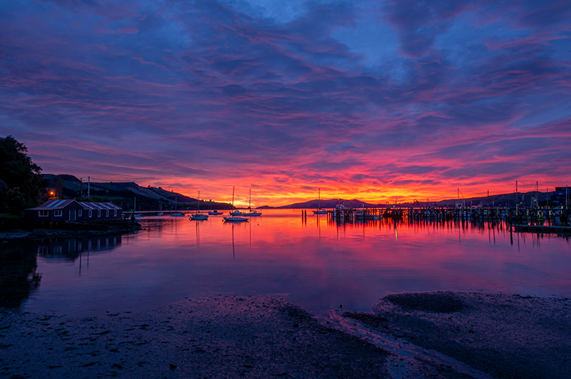 Wine Wildlife Port Chalmers 