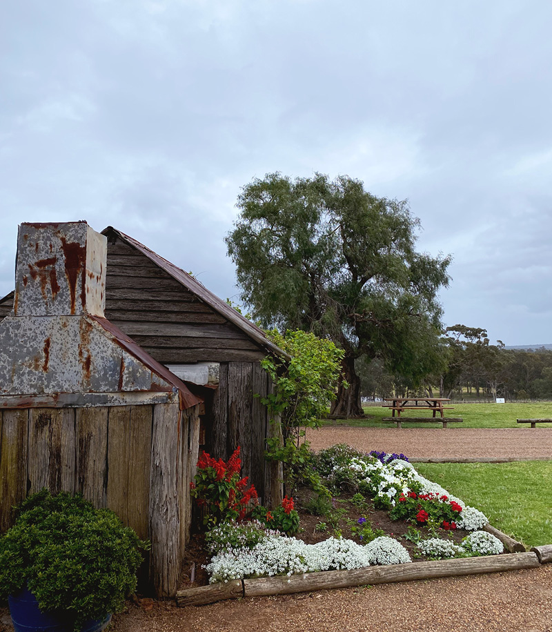Tyrell's Winery Tyrell's Winery