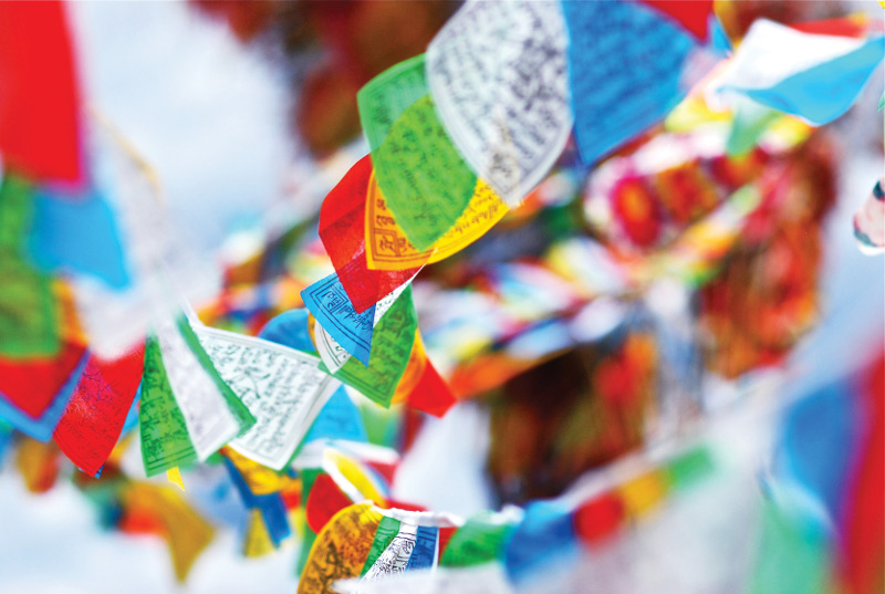 Tibetan Prayer Flags at Festival