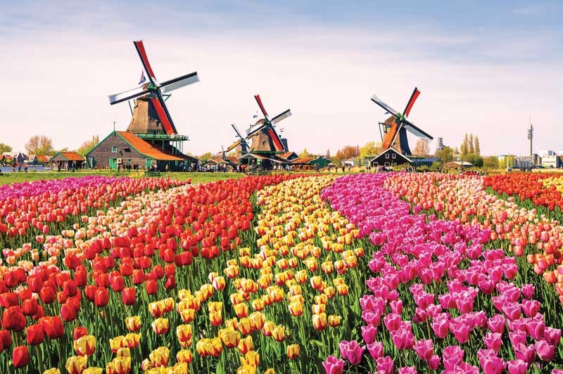 Tulip Festival, The Netherlands Tulip Festival, The Netherlands