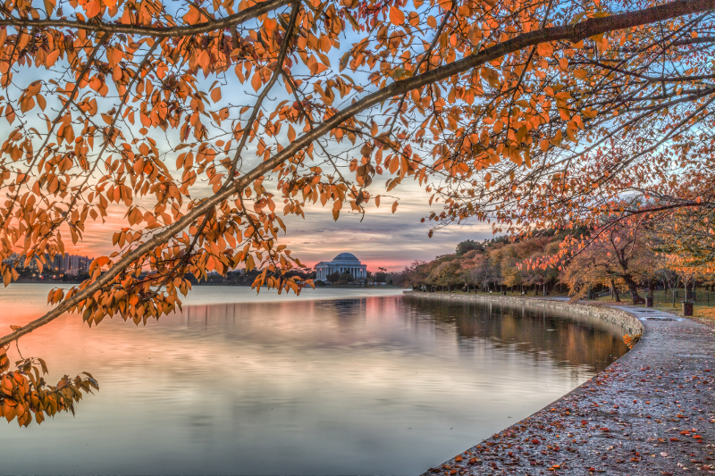 Washington Tidal Basin