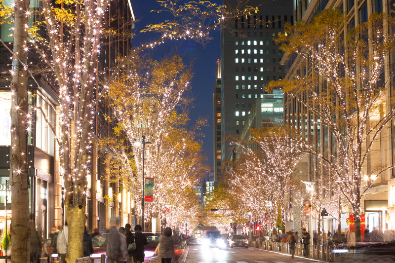 Marunouchi Naka-dori 