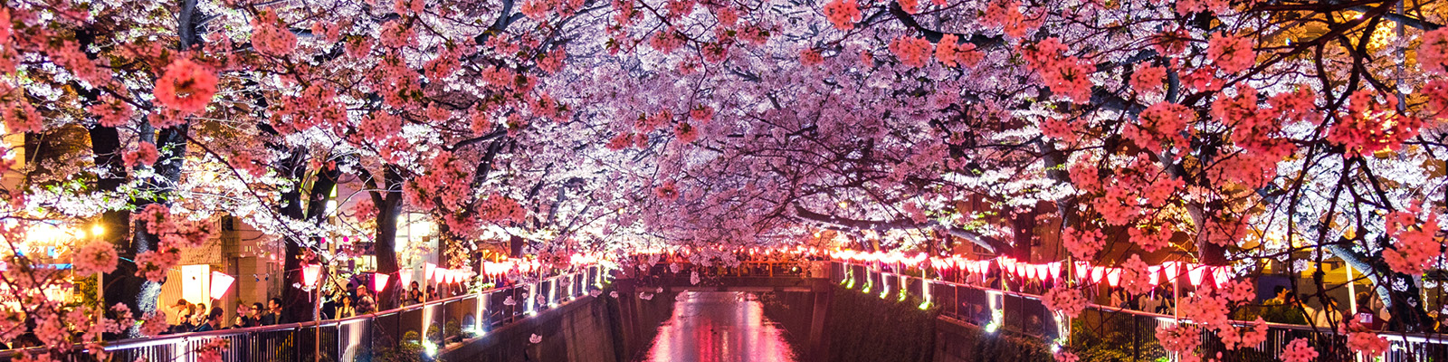 Festivals & Events