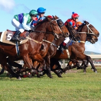 Melbourne Cup