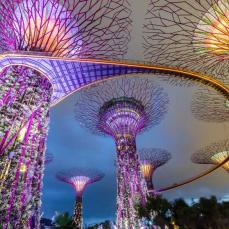 Gardens by the Bay, Singapore