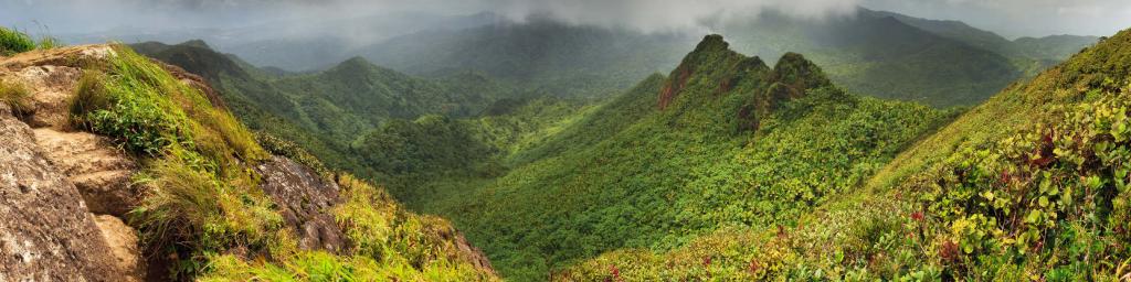 Puerto Rico El Yunque