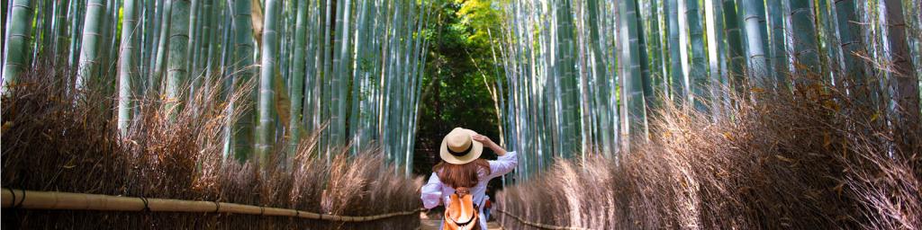 Solo Traveller in Kyoto, Japan