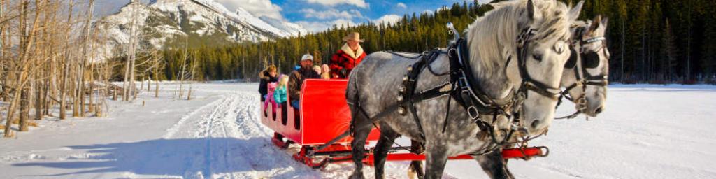 Winter Sleigh in the Snow