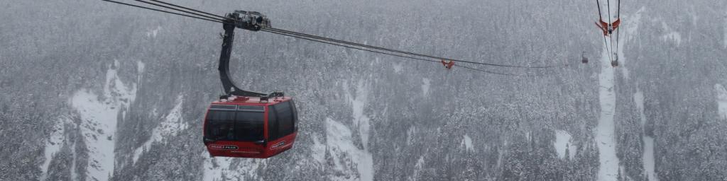 Whistler Peak 2 Peak Gondola