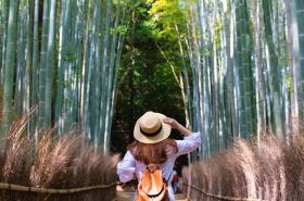 Solo Traveller in Kyoto, Japan