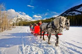 Winter Sleigh in the Snow