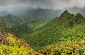 Puerto Rico El Yunque