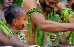 Fiji kava feature