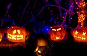 Halloween pumpkins