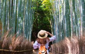 Solo Traveller in Kyoto, Japan