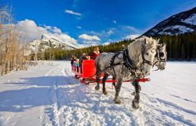 Winter Sleigh in the Snow